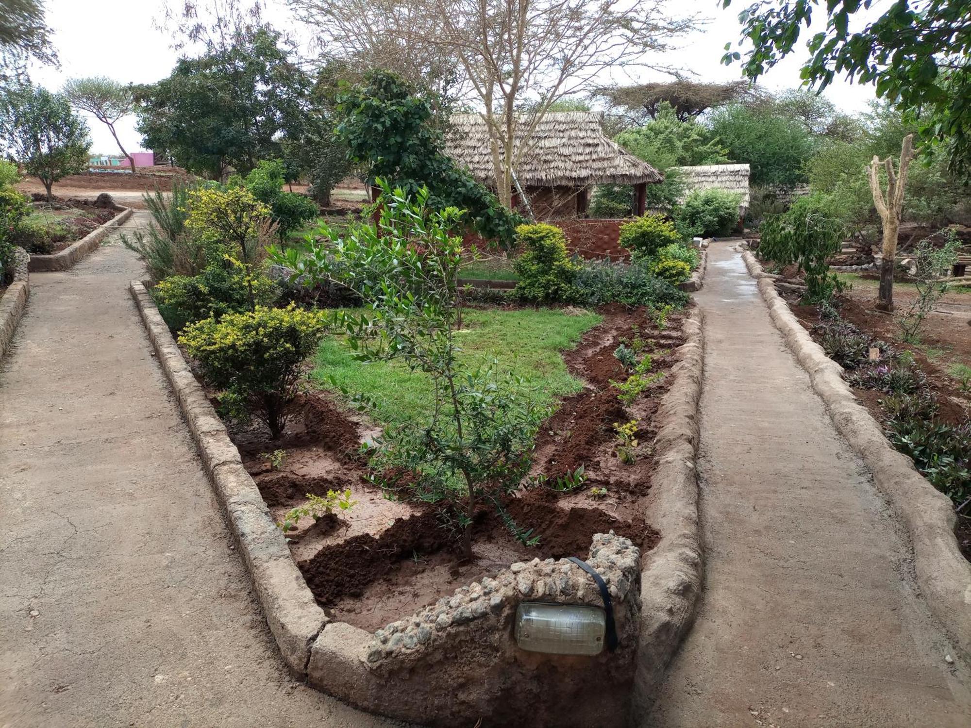 Teen Ranch Kenya Amboseli Room photo